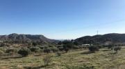 Vente Maison Abio  17000 m2 Espagne