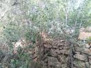Vente Terrain Alaior  21 m2 Espagne