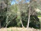 Vente Terrain Alcalali  795 m2 Espagne