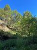 Vente Terrain Alhama-springs  1 m2 Espagne