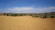 Vente Terrain Almansa  26000 m2 Espagne