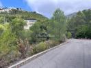 Vente Terrain Almedia  7716 m2 Espagne