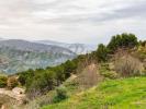 Vente Terrain Almunecar  Espagne