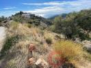 Vente Terrain Almunecar  6200 m2 Espagne
