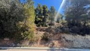 Vente Terrain Altea  1567 m2 Espagne