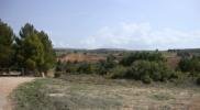 Vente Terrain Ayora  11767 m2 Espagne