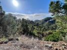 Vente Terrain Benahavis  2754 m2 Espagne