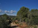 Vente Terrain Benissa  10796 m2 Espagne