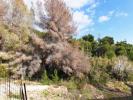 Vente Terrain Benissa LA-FUSTERA 798 m2 Espagne