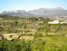 Vente Terrain Benissa  15000 m2 Espagne