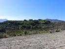 Vente Terrain Benissa  11500 m2 Espagne