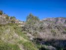 Vente Terrain Benitachell  11000 m2 Espagne