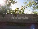 Vente Terrain Bobadilla-de-alcaudete  155 m2 Espagne
