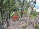 Vente Terrain Calonge MAS-PERE--RAO-DE-ORO 1657 m2 Espagne