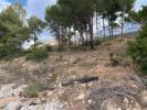 Vente Terrain Calpe  1000 m2 Espagne