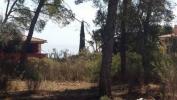 Vente Terrain Calvia  1100 m2 Espagne