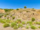 Vente Terrain Canillas-de-albaida  Espagne