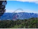 Vente Terrain Castell-platja-d'aro PLATJA-D'ARO 2306 m2 Espagne