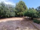 Vente Maison Cehegin  175 m2 Espagne