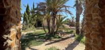Vente Maison Crevillente 353 m2 Espagne