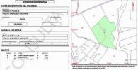 Vente Terrain Crevillente  16000 m2 Espagne