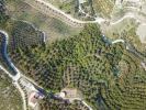 Vente Terrain Frigiliana 20000 m2 Espagne
