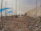 Vente Terrain Guia-de-isora  27500 m2 Espagne