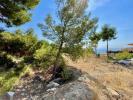 Vente Terrain La-herradura  1800 m2 Espagne