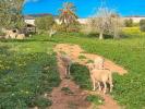 Vente Maison Llucmajor 903 m2 Espagne