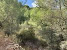 Vente Terrain Manacor  32767 m2 Espagne