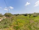 Vente Terrain Manacor  14504 m2 Espagne