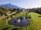 Vente Maison Marbella  459 m2 Espagne