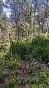 Vente Terrain Mediona  2299 m2 Espagne