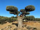 Vente Maison Molines 65 m2 Espagne