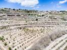 Vente Terrain Moraira  10090 m2 Espagne