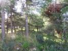 Vente Terrain Moraira  1000 m2 Espagne