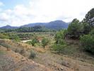 Vente Terrain Murla  16747 m2 Espagne