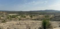 Vente Terrain Orihuela  32767 m2 Espagne