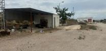 Vente Local commercial Orihuela  140 m2 Espagne