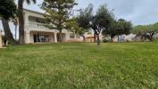 Vente Maison Orihuela  545 m2 Espagne