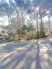 Vente Terrain Palafrugell  721 m2 Espagne