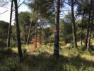 Vente Terrain Palamos CENTRE-EL-PEDRA 1194 m2 Espagne