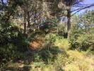 Vente Terrain Palamos SANT-JOAN-VILARROMA 600 m2 Espagne