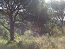 Vente Terrain Palamos EL-PEDRA� 3144 m2 Espagne