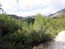 Vente Terrain Pedreguer  25000 m2 Espagne