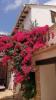 Vente Maison Pego  181 m2 Espagne