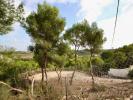 Vente Terrain Pinar-de-campoverde  1074 m2 Espagne