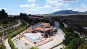 Vente Maison Pinoso  389 m2 Espagne