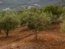 Vente Terrain Pratdip  10000 m2 Espagne