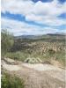 Vente Terrain Riogordo RIOGORDO 10330 m2 Espagne